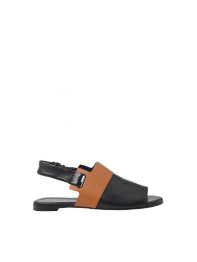 Shop Robert Clergerie Flat Leather Sandals In Black