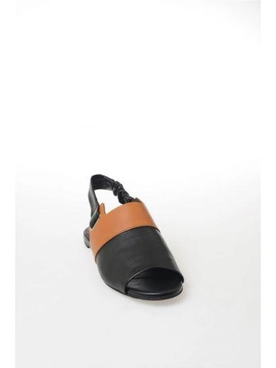 Shop Robert Clergerie Flat Leather Sandals In Black