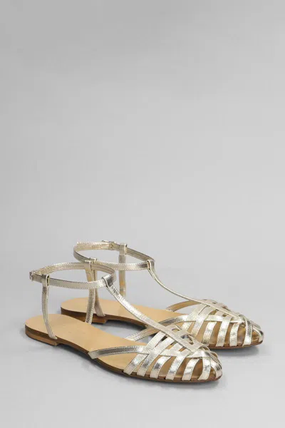 Anna F . Flats