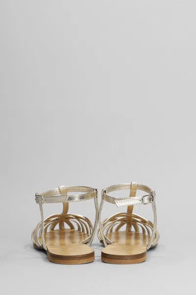 Anna F . Flats
