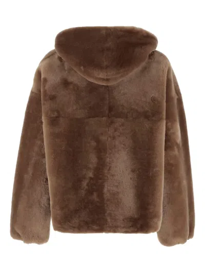 Blancha Brown Reversible Shearling Jacket In Brown
