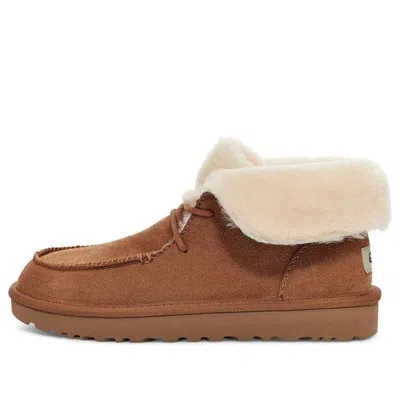 Ugg (wmns)  Diara Lacing Fleece Lined Brown