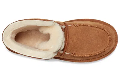 Ugg (wmns)  Diara Lacing Fleece Lined Brown