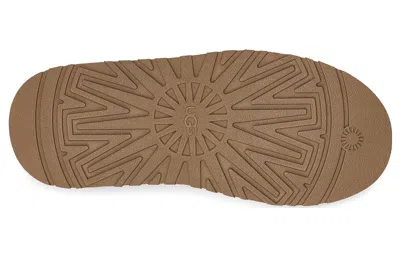 Ugg (wmns)  Tazz Slipper 'burnt Olive' In Brown