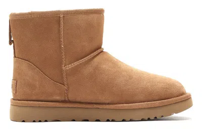 Ugg (wmns)  Logo In Brown