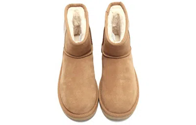 Ugg (wmns)  Logo In Brown