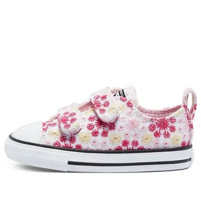 Converse (td)  Chuck Taylor All Star Low Top Embroidery Pink/yellow In Multi