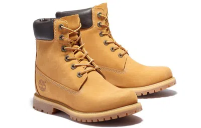 Timberland 6 Inch Premium Waterproof Lace-up Boots In Multi