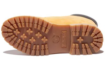 Timberland 6 Inch Premium Waterproof Lace-up Boots In Multi