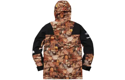 Supreme X The North Face Crossover Fw16 Interchange Jacket Unisex Black In Brown