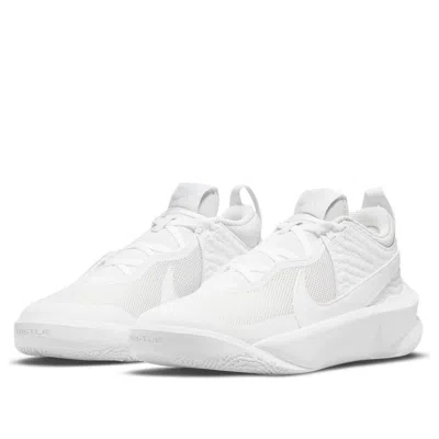 Nike (gs)  Team Hustle D10 'white Photon Dust'