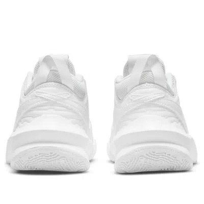 Nike (gs)  Team Hustle D10 'white Photon Dust'