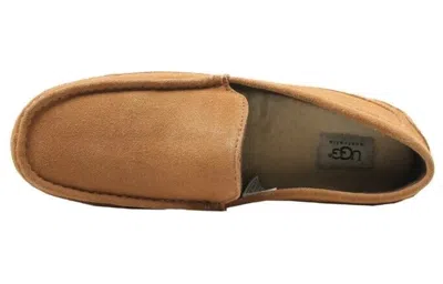 Ugg Alder Slipper 'chestnut' In Brown