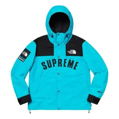 Supreme Ss19 X The North Face Arc Logo Mountain Parka Lightblue In