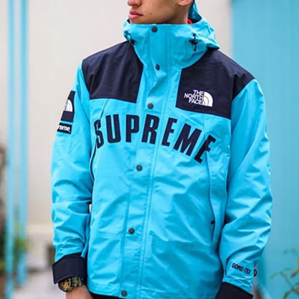 Supreme Ss19 X The North Face Arc Logo Mountain Parka Lightblue In
