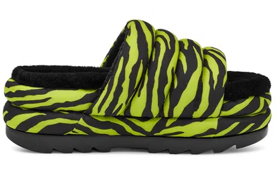 Ugg Maxi Slide Tiger Print In Key Lime In Black