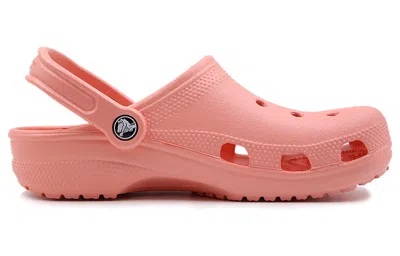 Crocs Classic Clog In Pink
