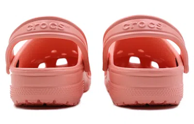 Crocs Classic Clog In Pink
