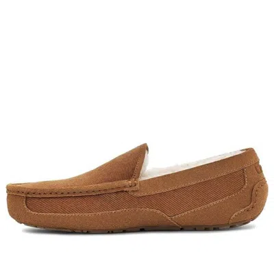 Ugg Ascot Slipper One Pedal Athleisure Casual Sports Shoes Fleece Lined In Multi