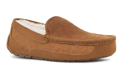 Ugg Ascot Slipper One Pedal Athleisure Casual Sports Shoes Fleece Lined In Multi
