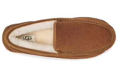 Ugg Ascot Slipper One Pedal Athleisure Casual Sports Shoes Fleece Lined In Multi