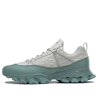 Reebok Dmx Trail Shadow 'grey Green'