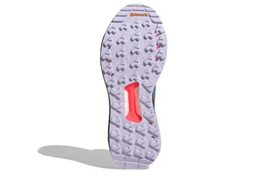 Adidas Originals (wmns) Adidas Terrex Free Hiker 'black Purple Tint' In Multi