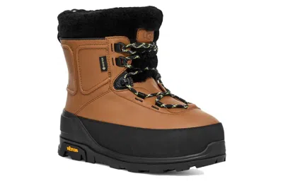 Ugg Shasta Gore-tex Ankle Boots In Brown