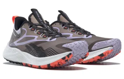Reebok (wmns)  Floatride Energy 4 Adventure 'taupe Purple Oasis' In Gray