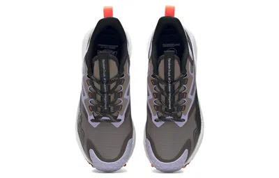 Reebok (wmns)  Floatride Energy 4 Adventure 'taupe Purple Oasis' In Gray