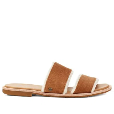 Ugg (wmns)  Evalita 'chestnut' In Brown