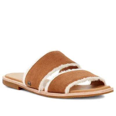Ugg (wmns)  Evalita 'chestnut' In Brown