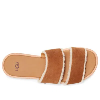 Ugg (wmns)  Evalita 'chestnut' In Brown