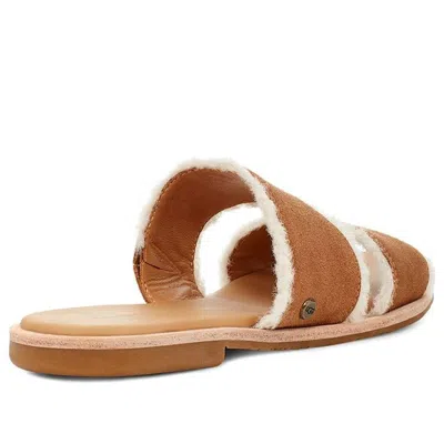 Ugg (wmns)  Evalita 'chestnut' In Brown