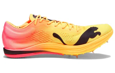 Puma Evospeed Long Distance Nitro Elite 2 Running Spikes Mens In Multi