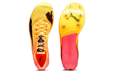 Puma Evospeed Long Distance Nitro Elite 2 Running Spikes Mens In Multi