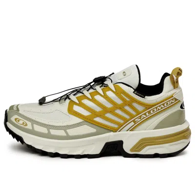 Salomon Acs Pro Gore-tex Low-top Sneakers In Multi