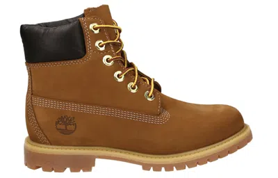 Timberland Premium 6 Inch Lace Up Waterproof Boot In Brown
