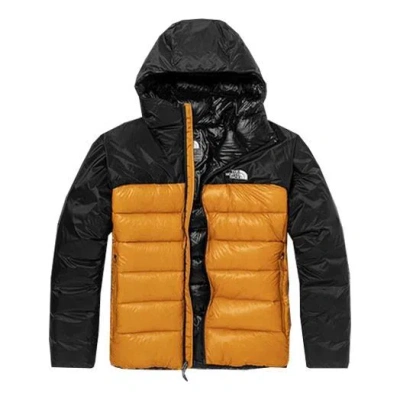 The North Face Nuptse Jacket In Gray