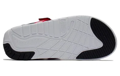 Puma (wmns)  Signature Softride Casual Sandals Black Red Blue In Multi