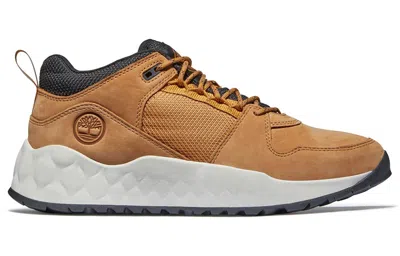 Timberland Solar Wave Sneaker 'wheat' In Brown