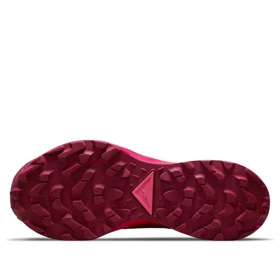 Nike (wmns)  Pegasus Trail 3 'gypsy Rose'