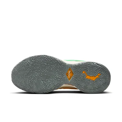 Nike Lebron 20 "famu X Apb In Neutral