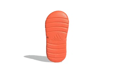 Adidas Originals (td) Adidas Swim Sandal I Sandals Black/orange