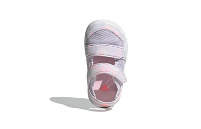 Adidas Originals (td) Adidas Water Sandal Ct I Breathable Casual Sports Pink Sandals In Purple