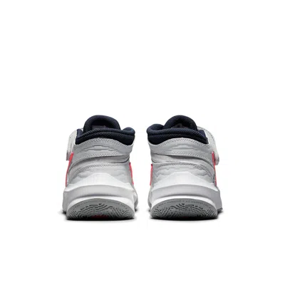 Nike (gs)  Team Hustle D 10 Flyease 'gray Red'