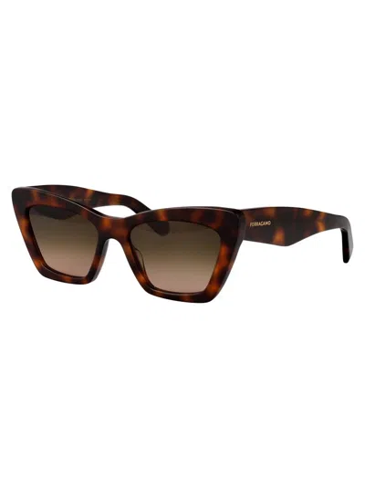 Ferragamo Brown Tortoise Acetate Sunglasses In Brown
