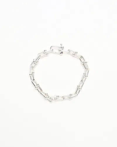 Tiffany & Co Hardwear Small Link Bracelet Sterling Silver