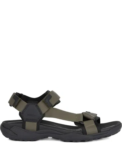 Geox Terreno Grip Sandals In Green