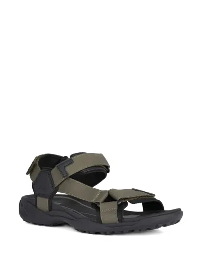 Geox Terreno Grip Sandals In Green